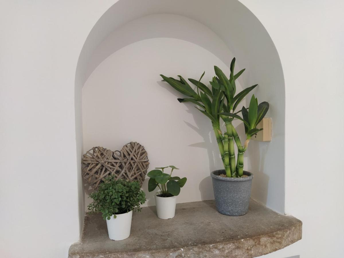 Eroso Saint Esprit Proche Gare Wifi Bureaux Apartment Bayonne Exterior photo